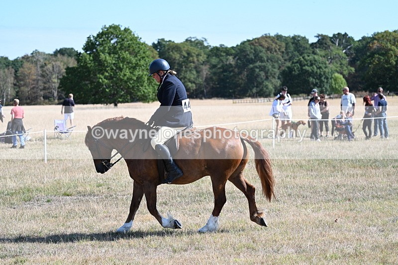 WJ7_3876 - Class 9 Mountain & Moorland Ridden