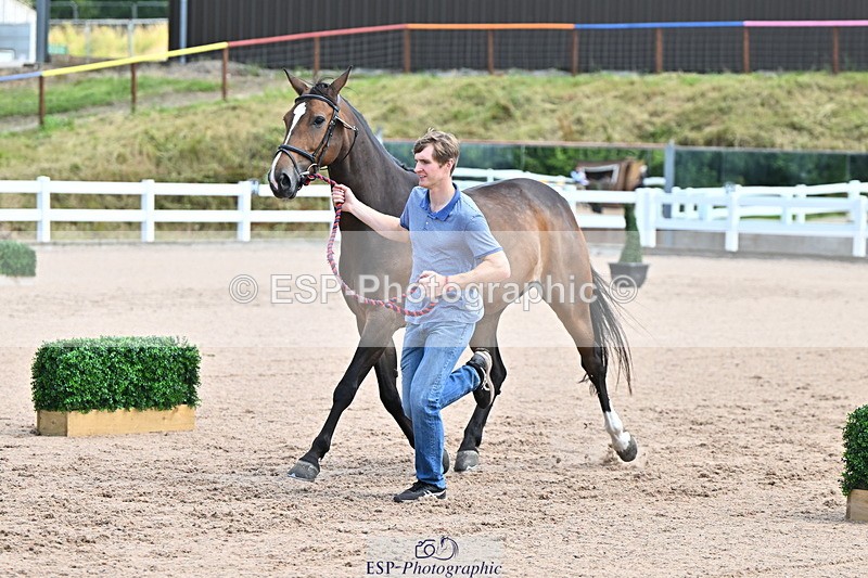240718A-105246-01132 - Trot Up 12pm to 1pm