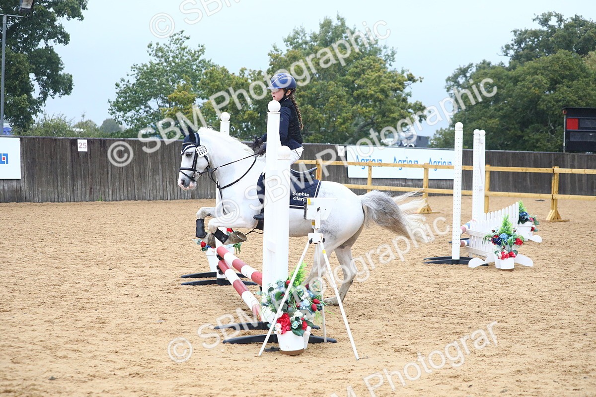 SBM_71594 - J4 - Mini Tour Junior Pony 45cm Championship