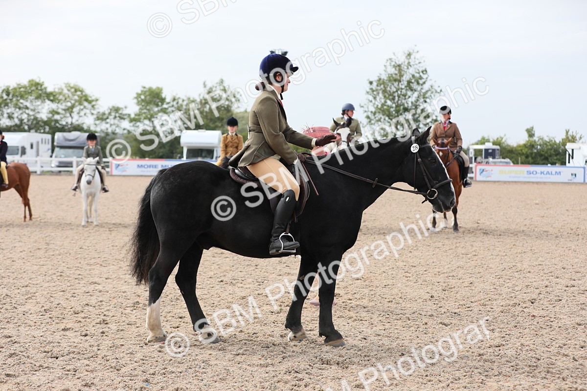 SBM_17017 - Class 314 Family Horse/Pony