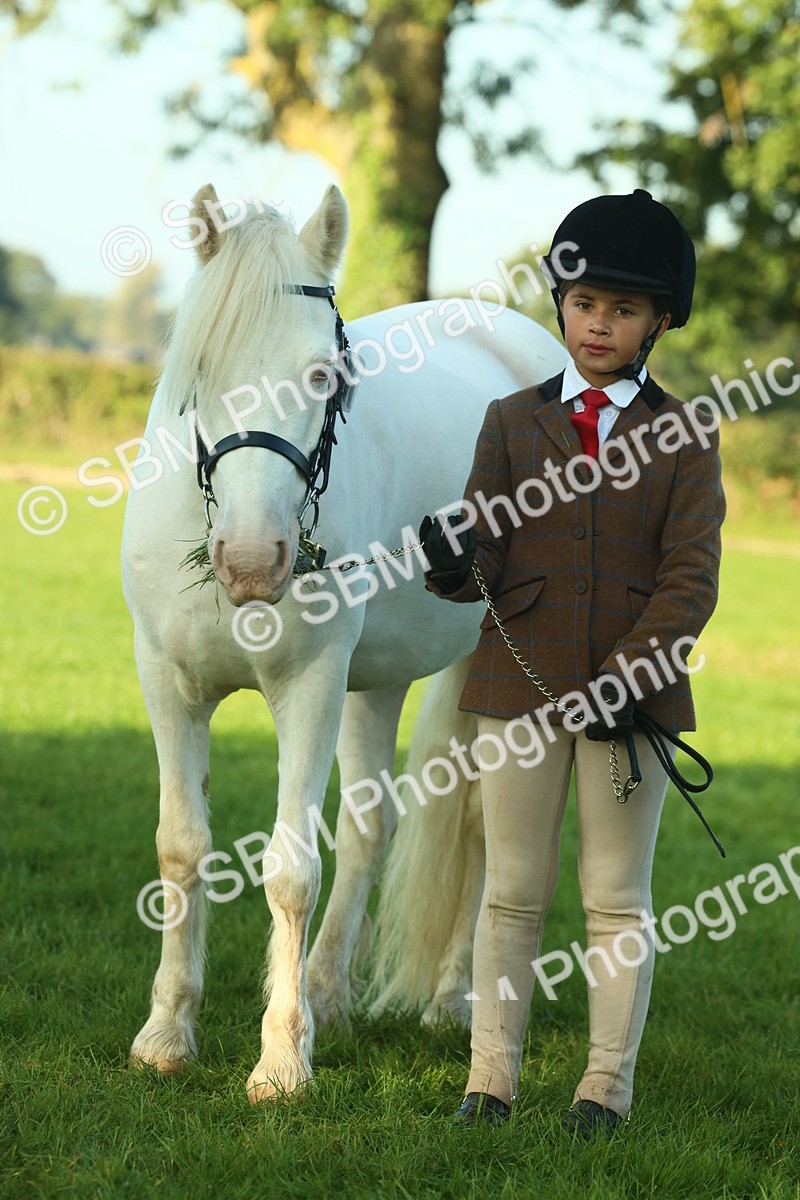 SBM_57505 - S37 - Starters In Hand Showing