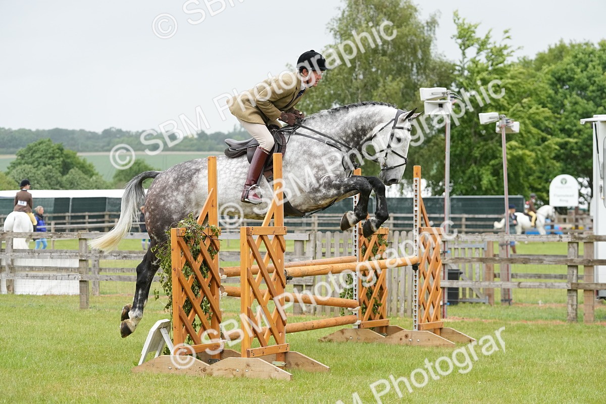 SBM_12616 - Class 97-98 - LIHS BSHA Rising Star Working Show Horse Hunter