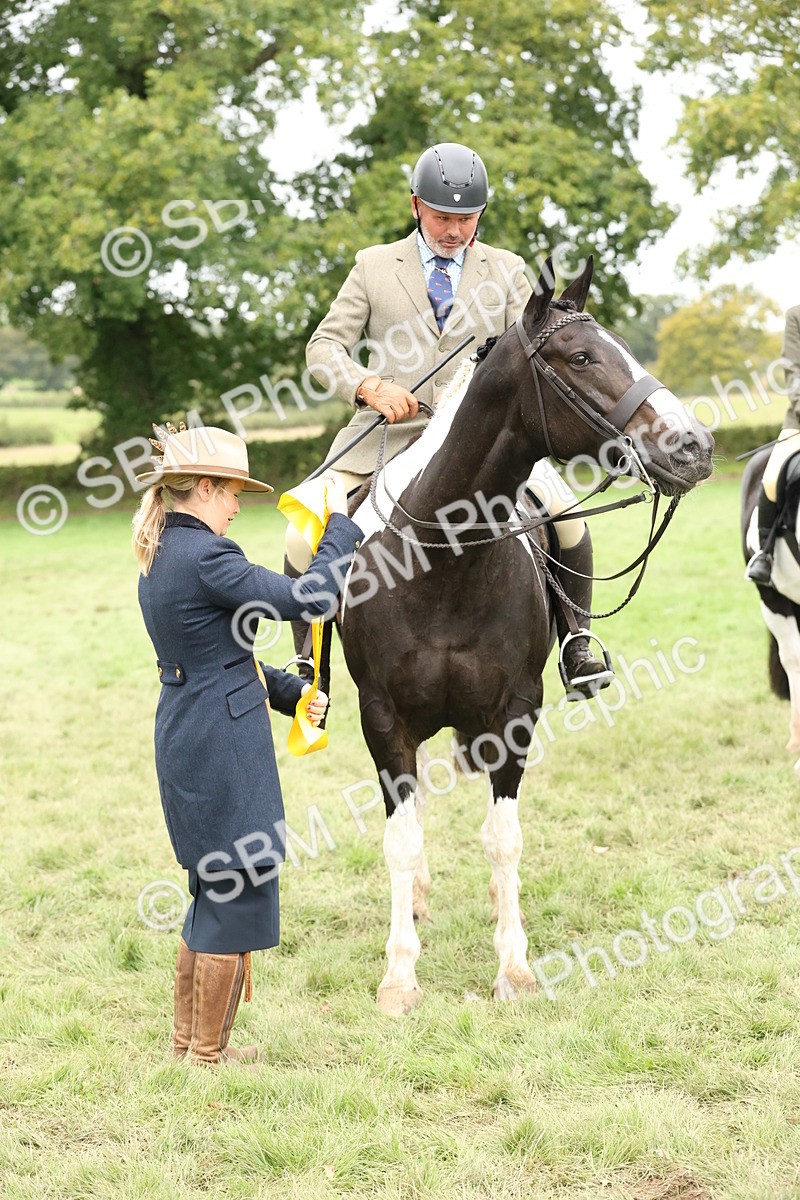 SBM_67310 - S67 - Piebald & Skewbald Horse Ridden