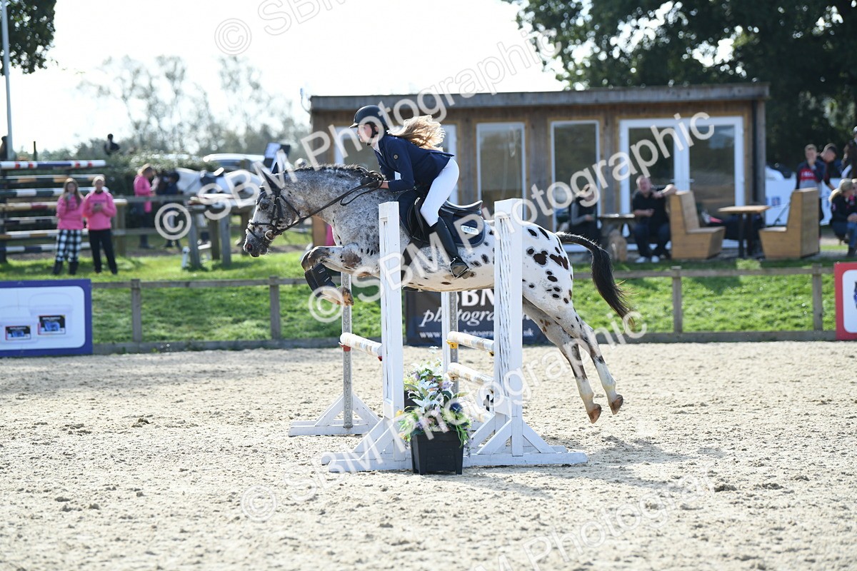 SBM_60738 - j25 - Junior Horse 80cm Championship
