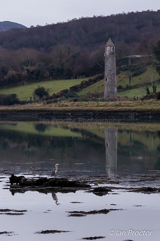 The Heron & The Tower - County Down
