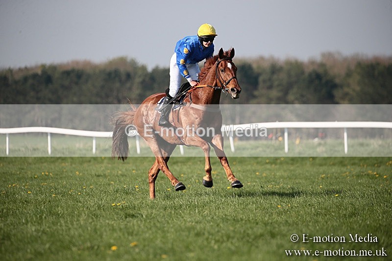 PtP 210418 489 - South & West Wilts Point-to-Point Larkhill 21/04/18