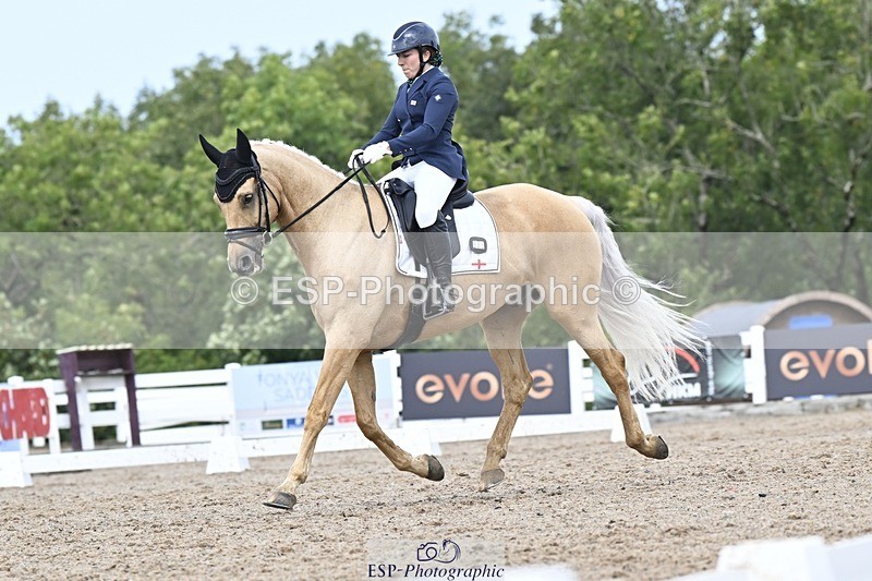 250907-131652-09881 - 025-Carrie.EveGekkos.Gold