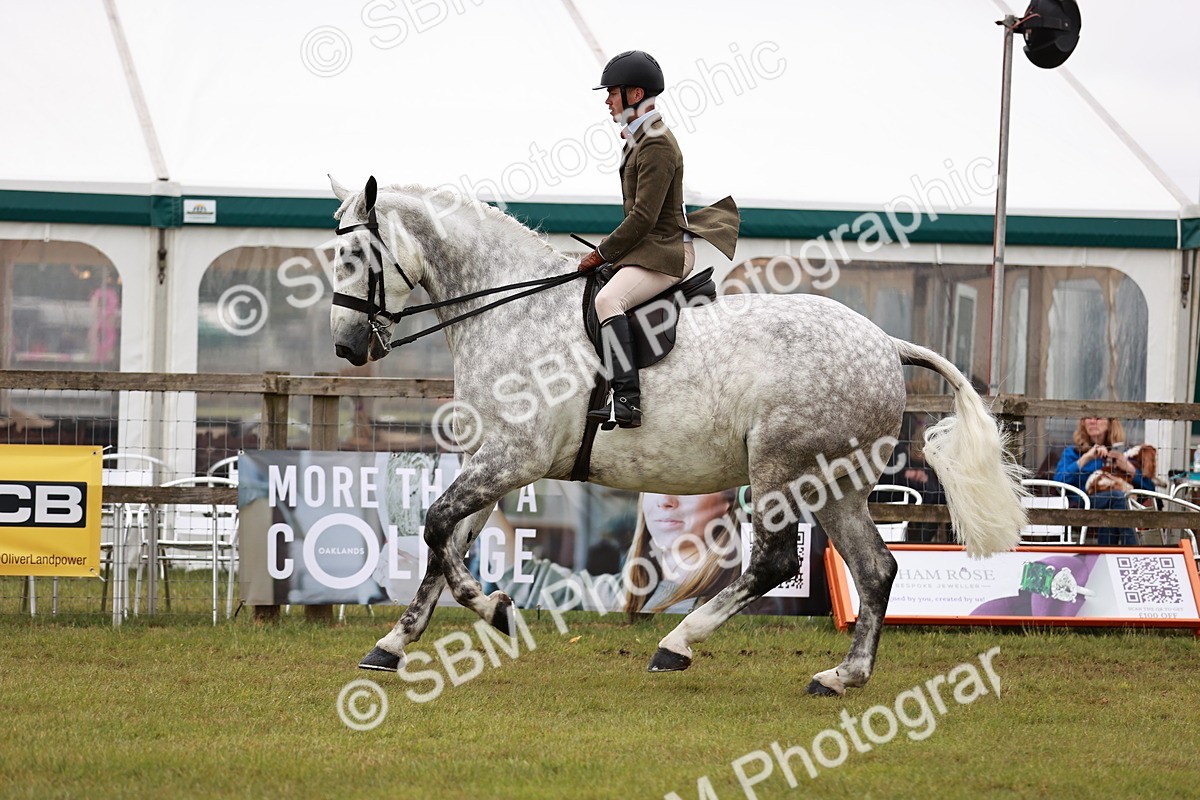 SBM_10926 - Class 81-84 - RIHS Ridden hunters Inc Ladies Hunter