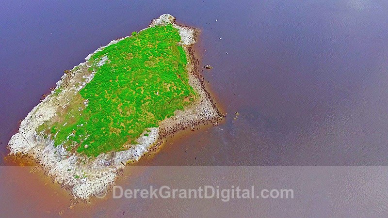Reversing Rapids Reversing Falls Saint John New Brunswick Canada - Reversing Rapids