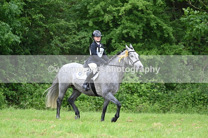 WJ7_4318 - Class 14A Handsome Gelding