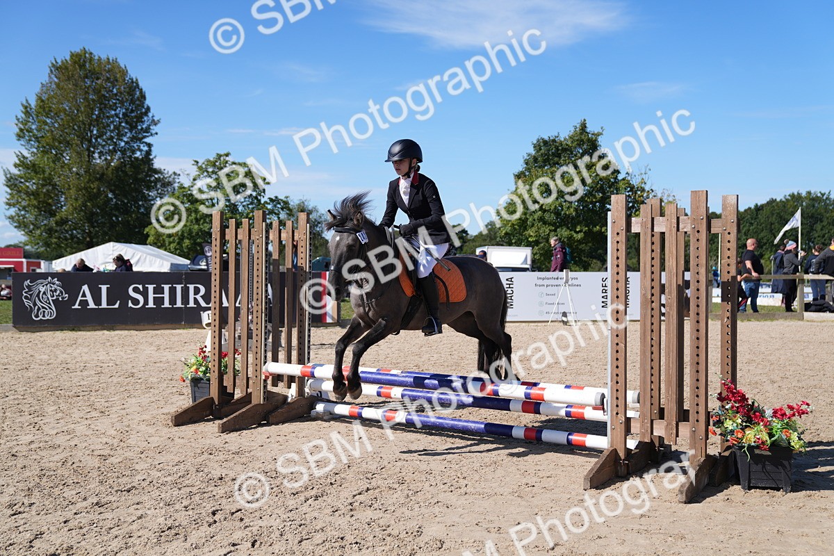 SBM_19529 - J57 - Clear Round 50cm