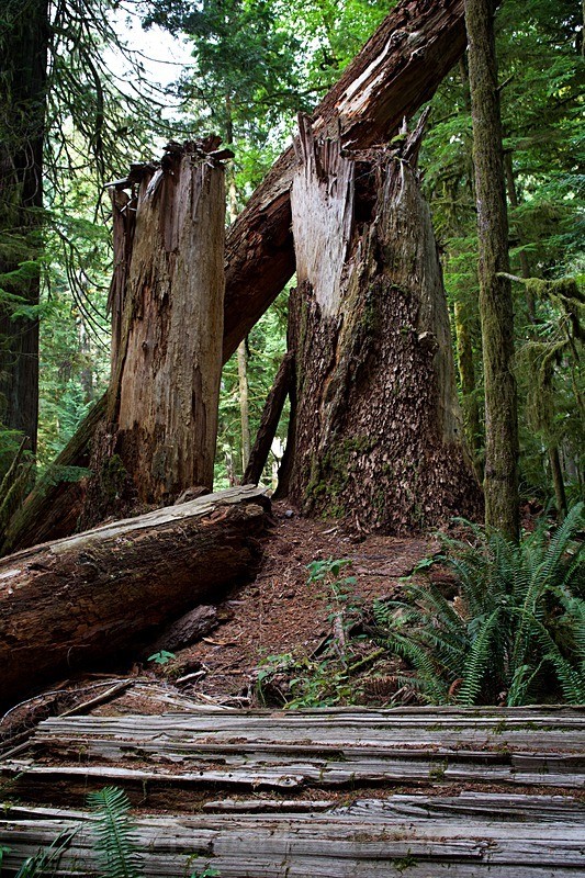  - Canada West Coast