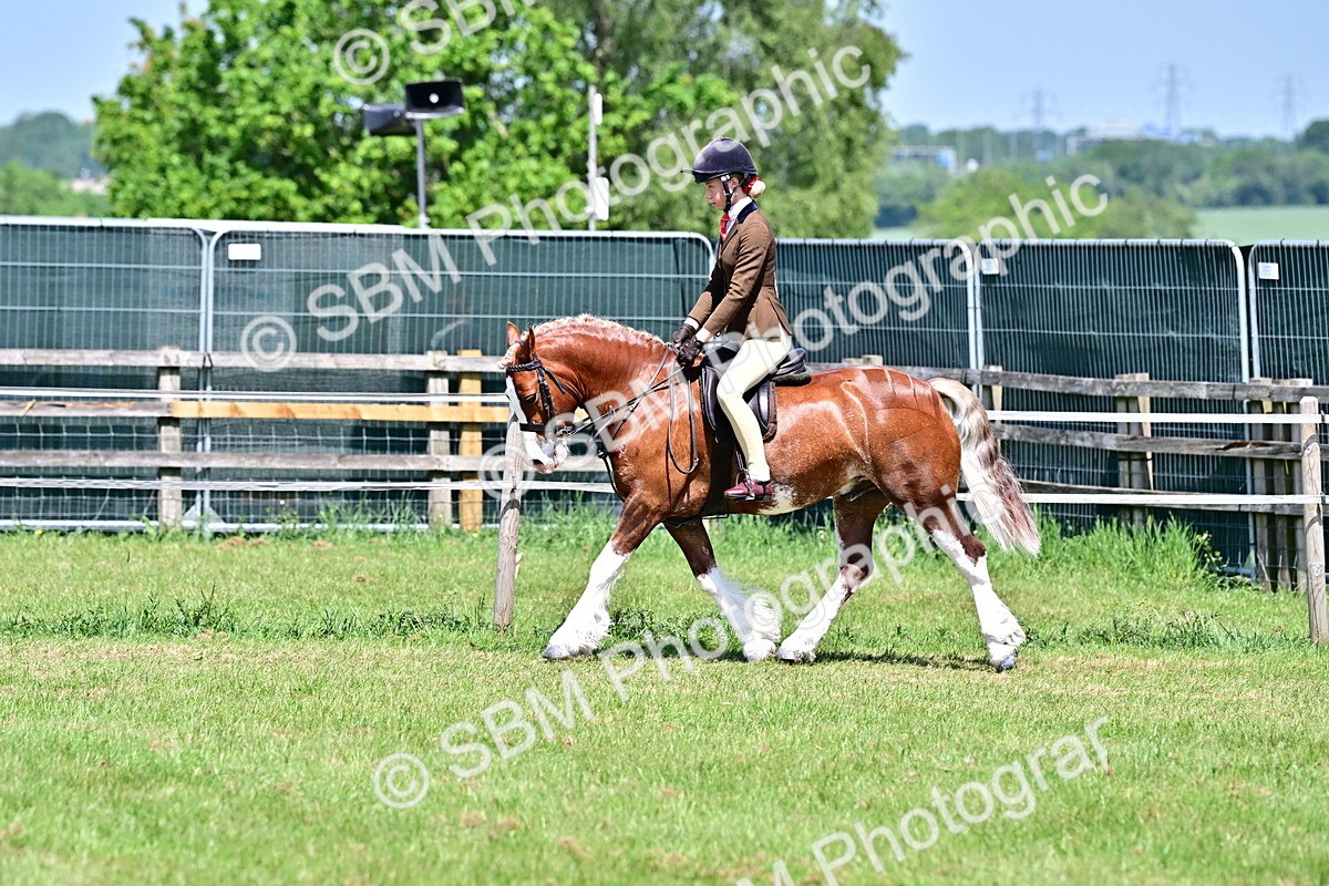 SBM_15293