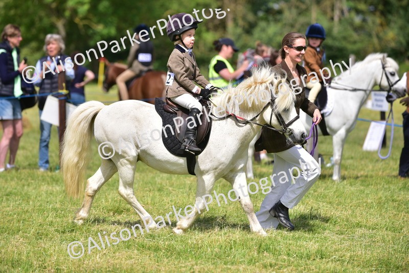 20260614-1147 - Class 11a - Lead Rein Pony (Unplaited)