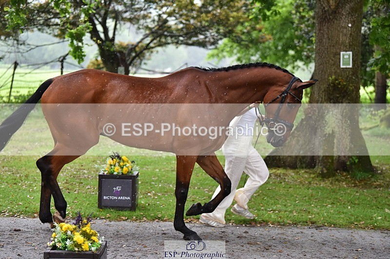 240522-161138-00771 - 158-MY_EASTWOOD_BRIGHTSIDE-Darcy_Zander