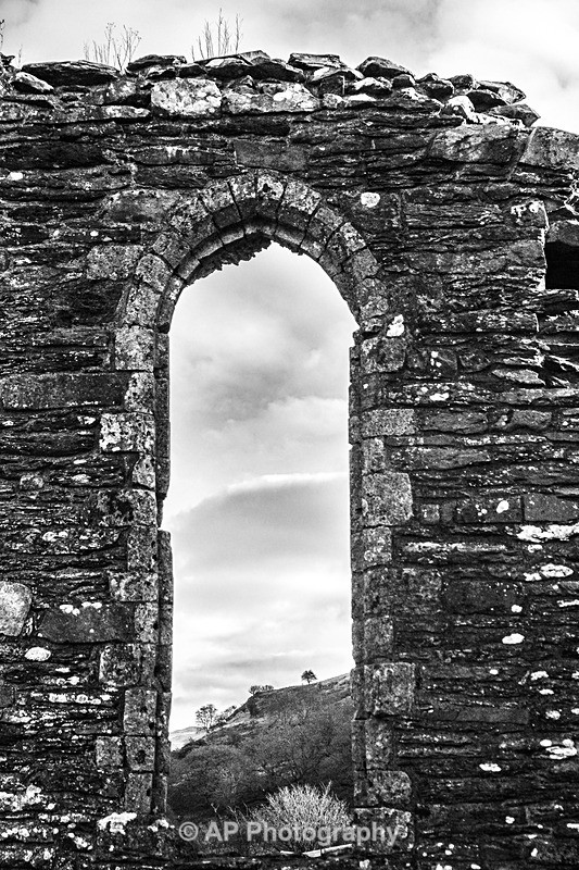 ACP01999-3 - Strata Florida Abbey