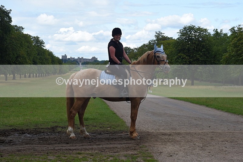 TT3_0512 - Time at Crossing 14:53 to 1526