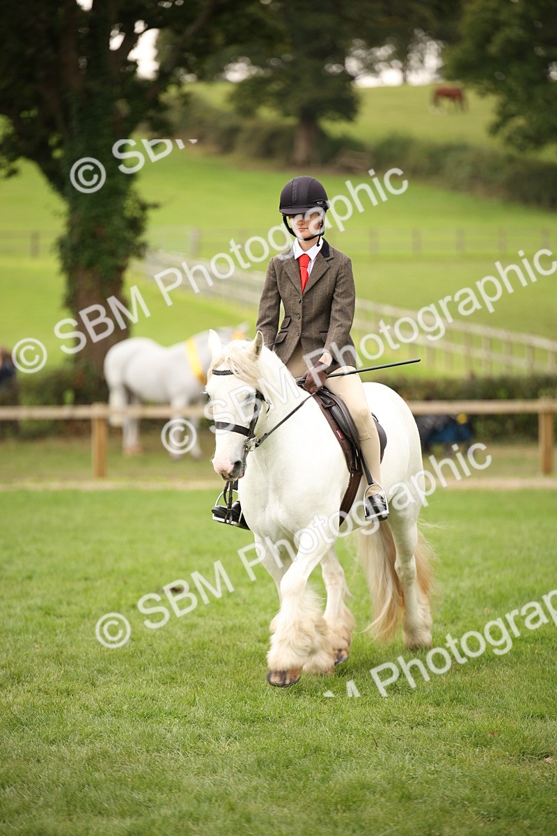 SBM_73531 - S68 - Traditional Cob Ridden