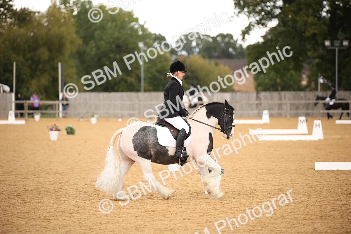 SBM_08934 - D8 Small Tour Championship Prelim 7