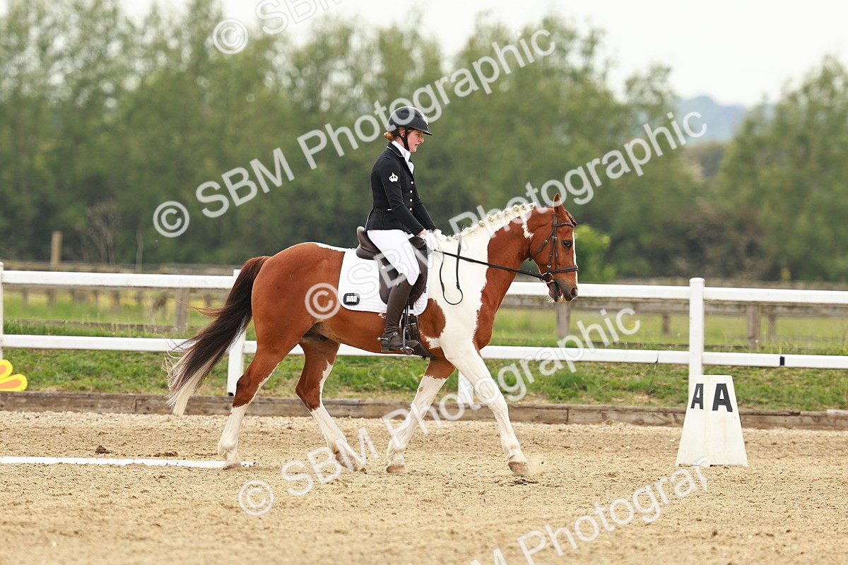 SBM_001211 - Class 6 - Novice 4