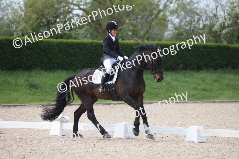 20260502-0860 - Class 7 - Novice 2