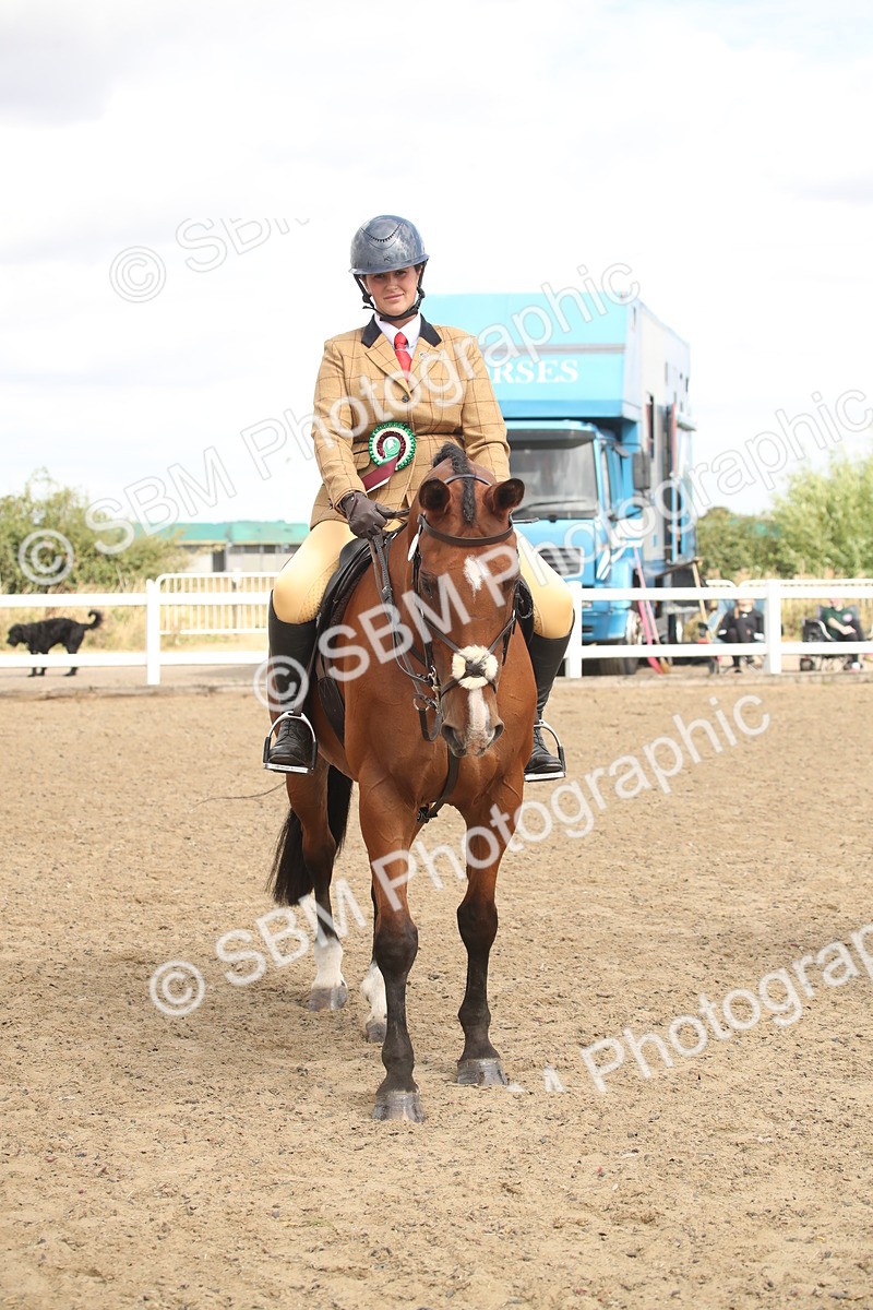 SBM_16569 - Class 506b - Working Veteran - 50cm (20+)