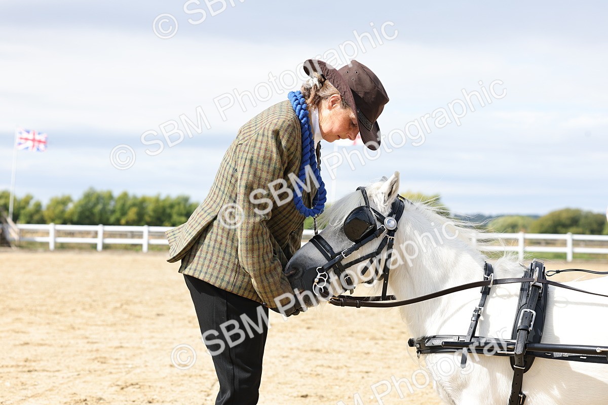 SBM_001086 - Class 14 - Shetland Ponies and Minatures