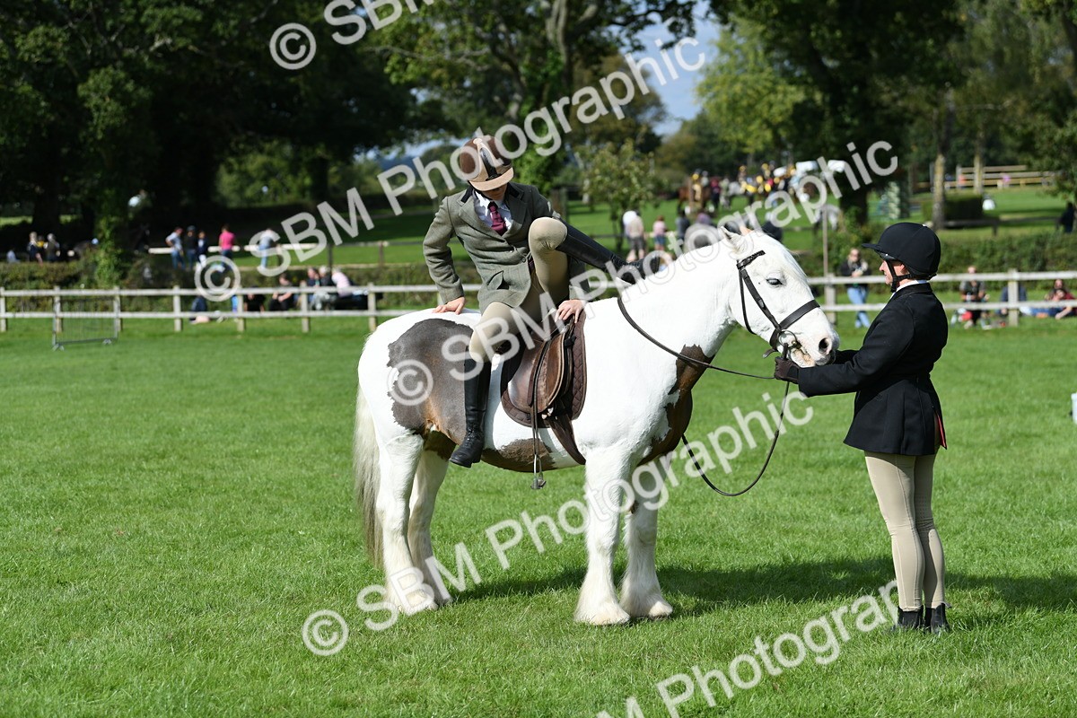 SBM_47029 - S12 - Family Horse & Pony