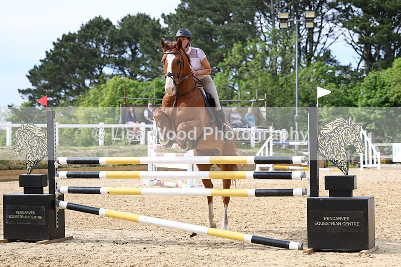 3E7A7753 - Class 8: Senior Foxhunter/1.20 open