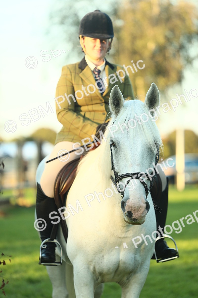 SBM_56577 - S14 - Riding Club Horse