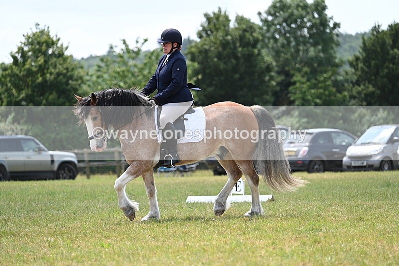 WJ7_8148 - Time 13:35 to 13:40