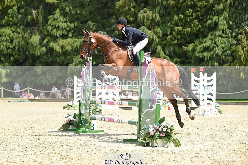 230528-123016-15731 - 373-BENGAL_LORE-Pippa_Taylor-SUNTrotUp+SJ