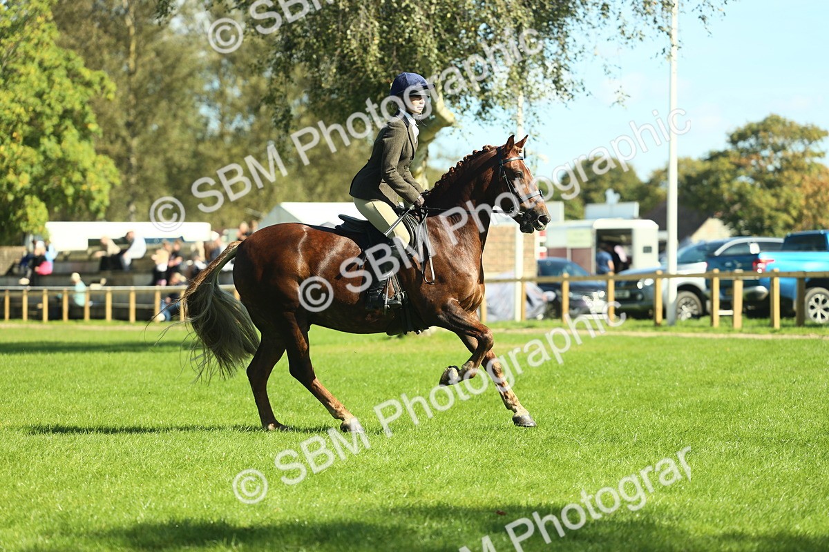 SBM_39153 - S29 - Novice & Newcomers Working Hunter Pony