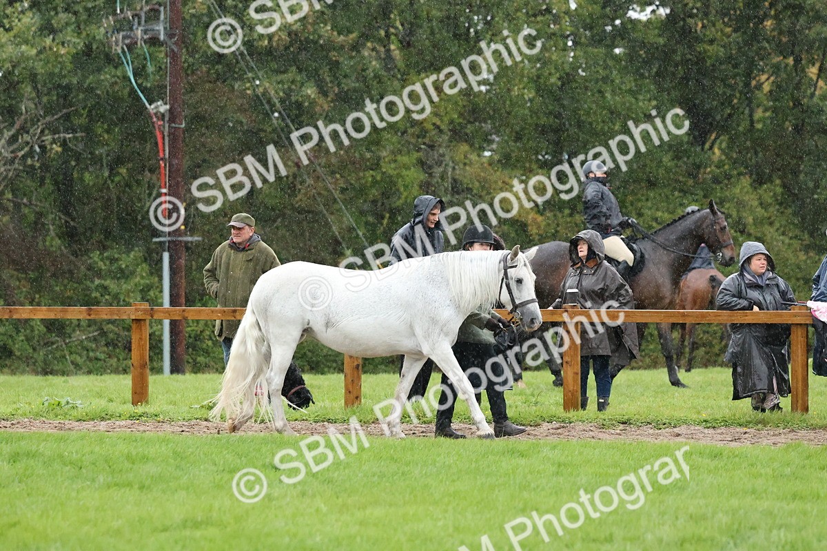 SBM_35336 - S10 - Best In Hand Horse & Pony