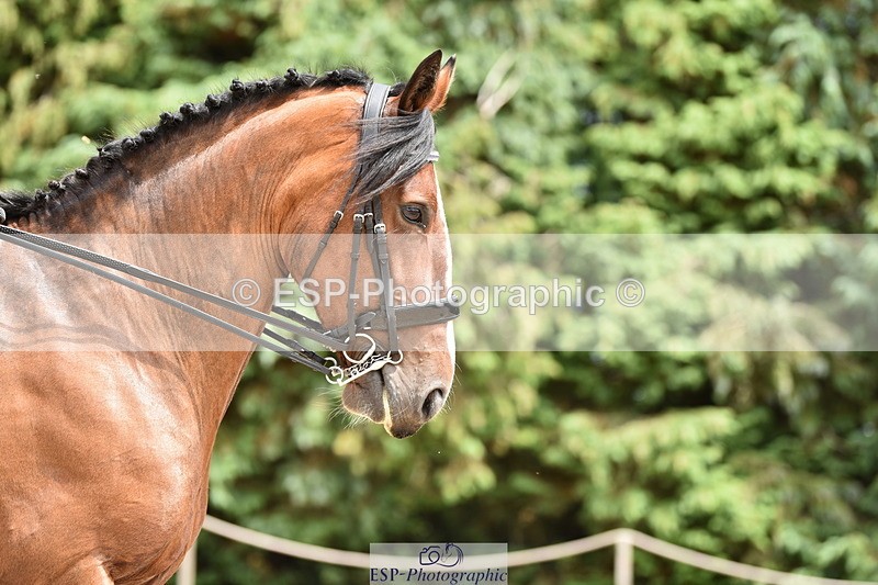 140110A-030112-11128 - 018-Jane.Lavington-Broadriver.Madison