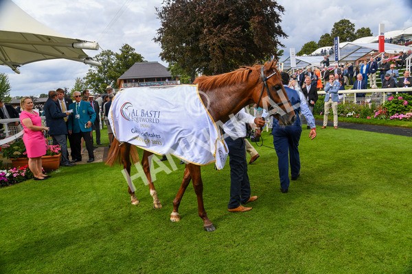 250823-Race 3-Lake Forest-0543 - Race 3 3.00pm Al Basti Equiworld Dubai Gimcrack Stakes