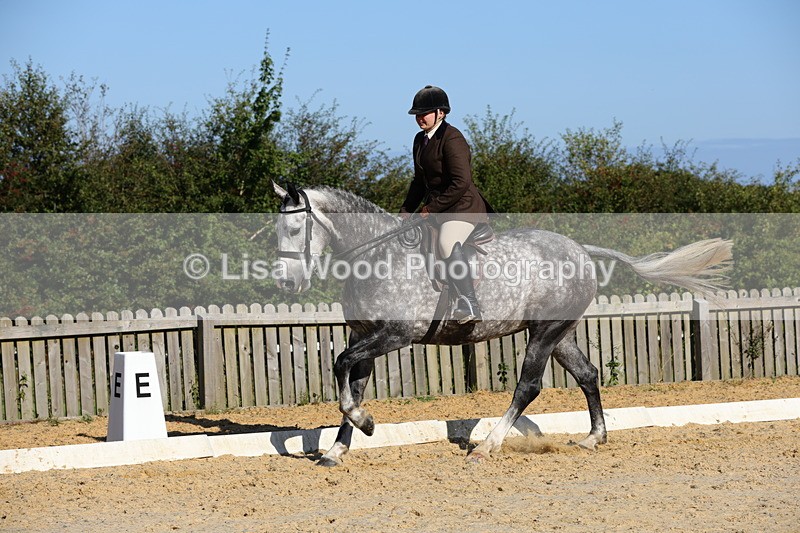 1X9A7677 - Class 8: Small Ridden Hunter