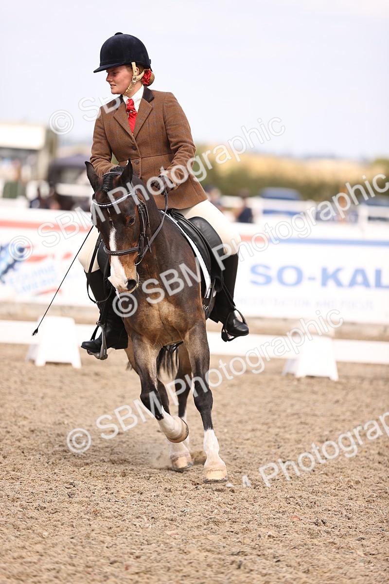 SBM_06060 - Class 37 Novice 5