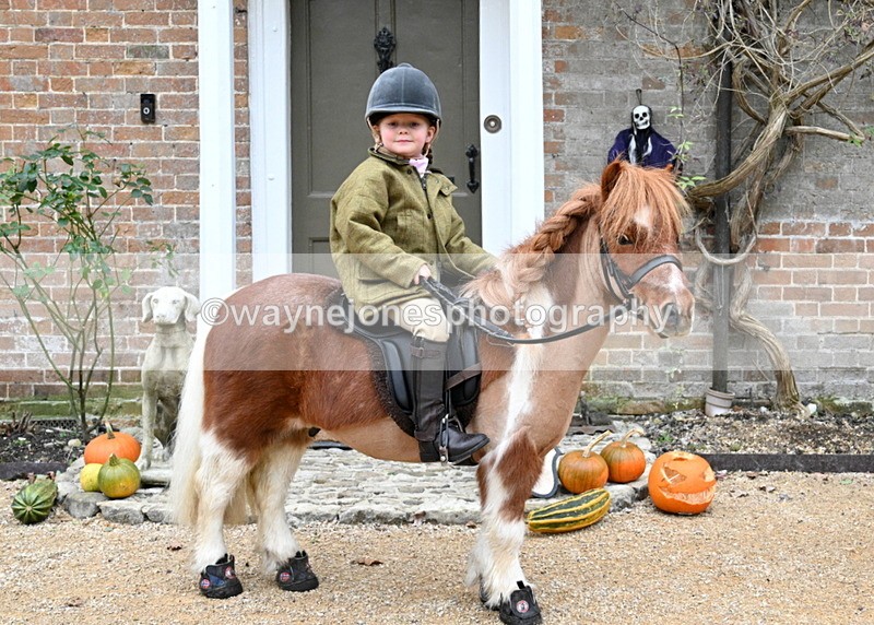 WJ7_6764 - Berks & Bucks - Children's Meet - The Old Farmhouse – Steventon.