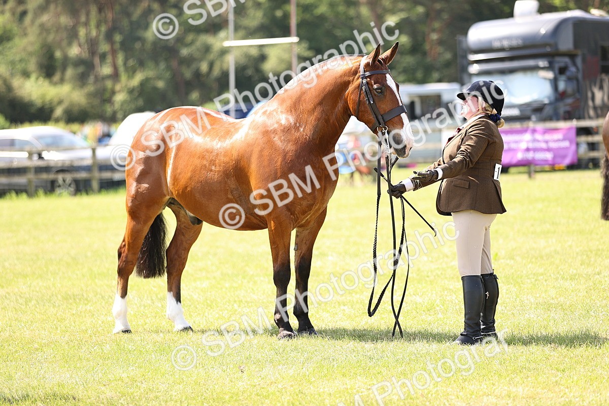 SBM_13812 - Class 77 - LIHS BSHA Rising Star Cobs