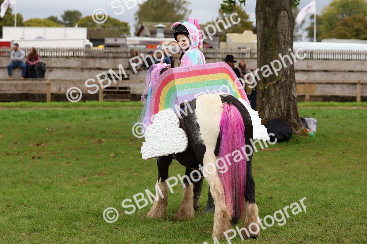 SBM_62199 - S37b - Best Unicorn