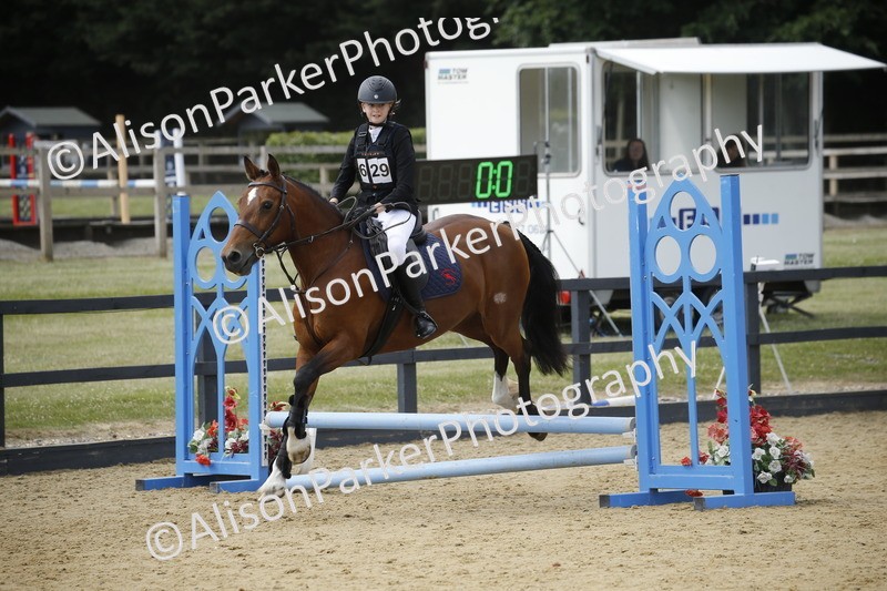 20250622-3924 - 50cm