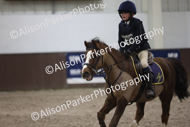 20260125-3073 - Class 3 - 60cm