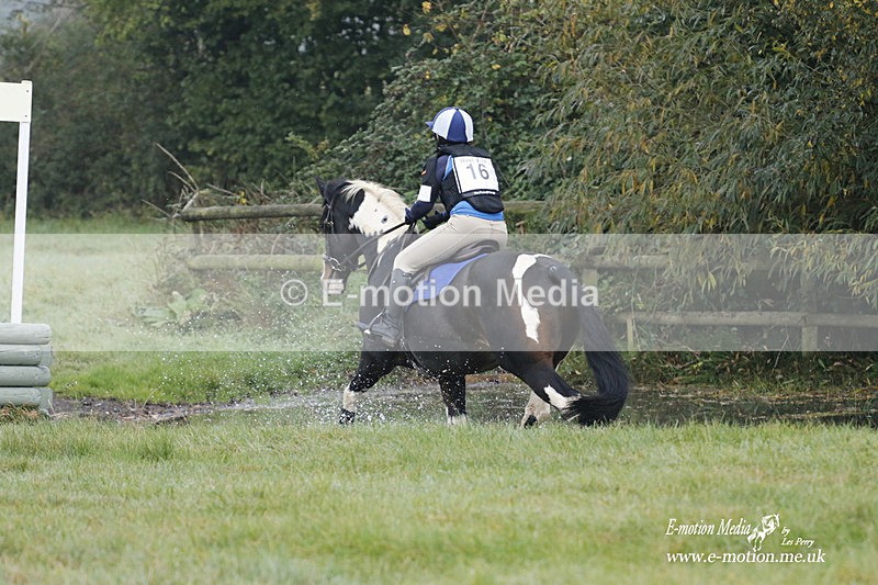 WWHT 171021 0450 - Novice Restricted (0.80m)  17/10/21
