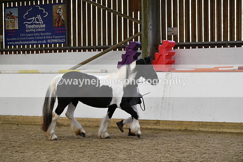 WJ5_5010 - Class 7 In hand coloured / odd coloured