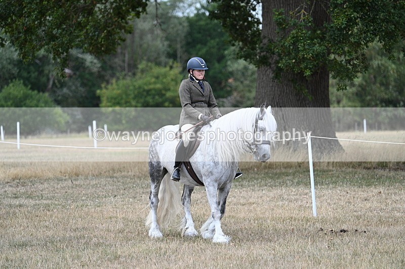 WJ7_4737 - Class 12 Ridden Cob