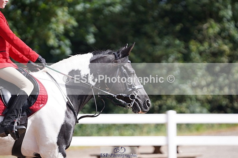 240809A-102346-00526 - Dressage Competition