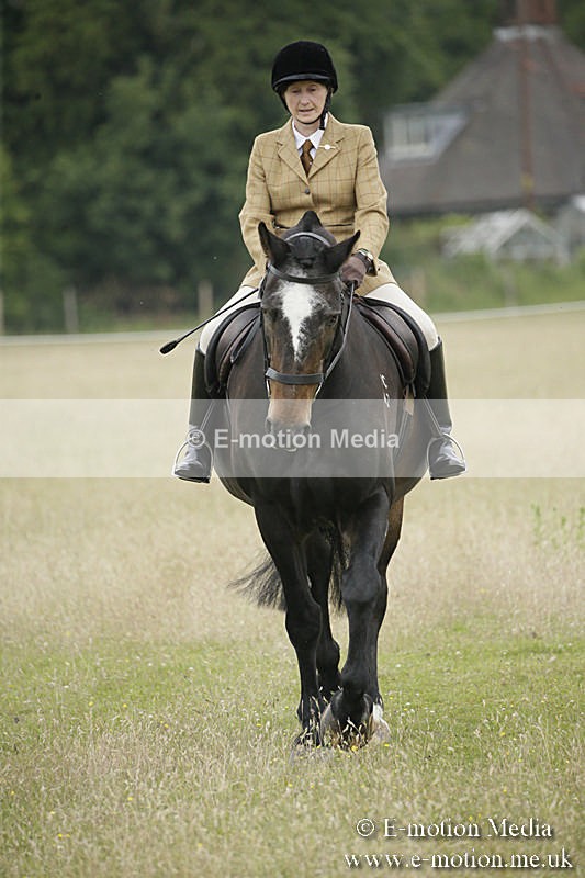 B230619-0285 - Bourne Valley Riding Club Summer Show 23/06/19