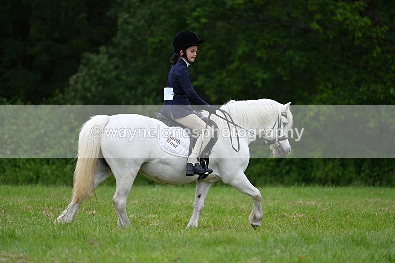 WJ7_4469 - Class 14B Prettiest Mare