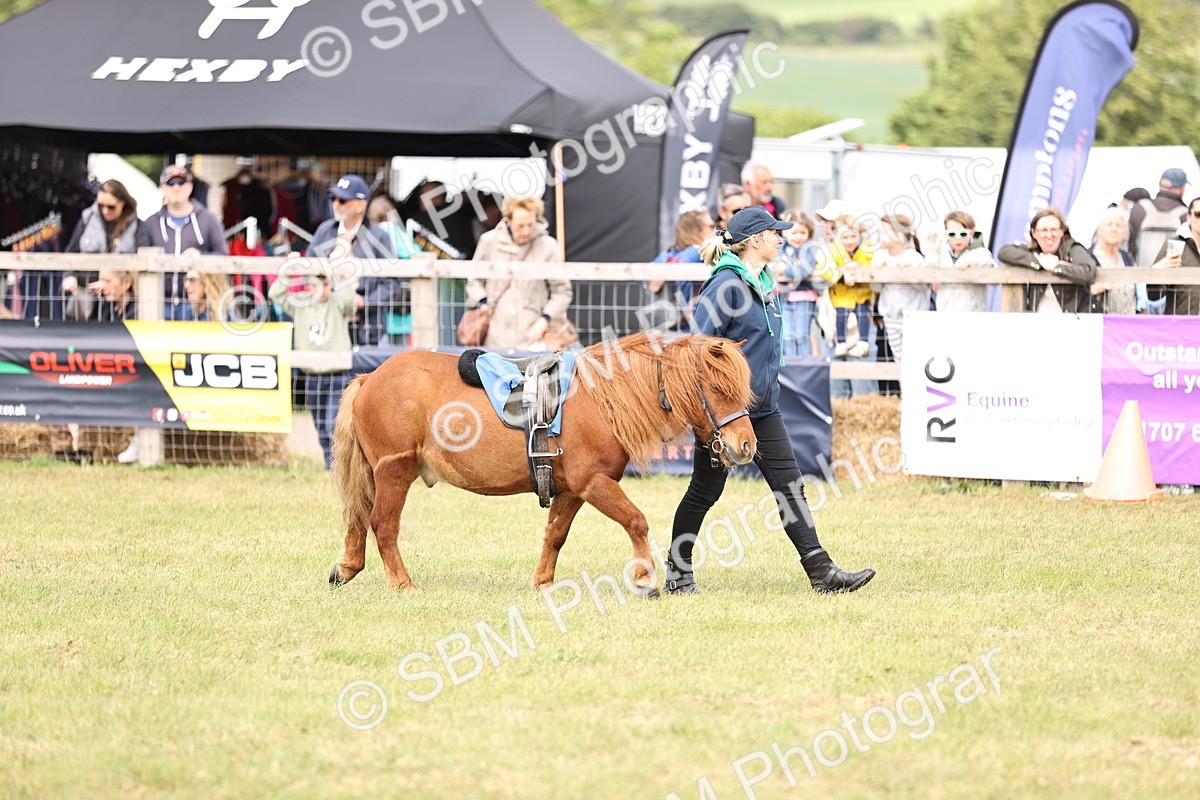 SBM_16392 - Dinky Derby